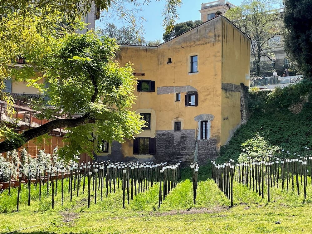 Rm-h501-gari36c2 Il Mulino di Trastevere - G3