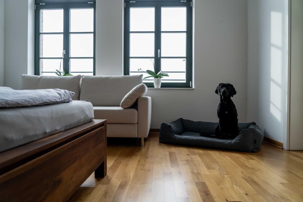 König Albert Residenz