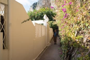 La Coccodrilla in Capri