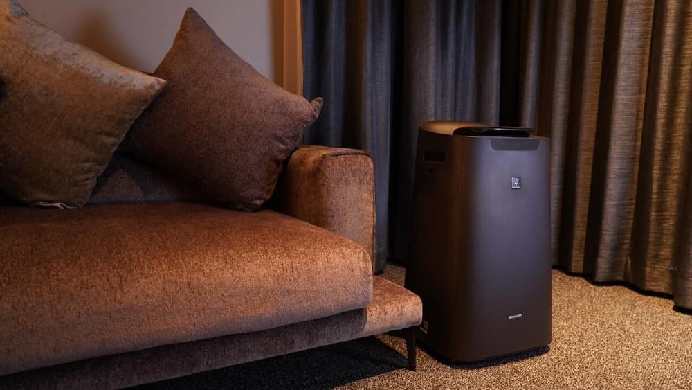 Willows Hotel Osaka Shinimamiya