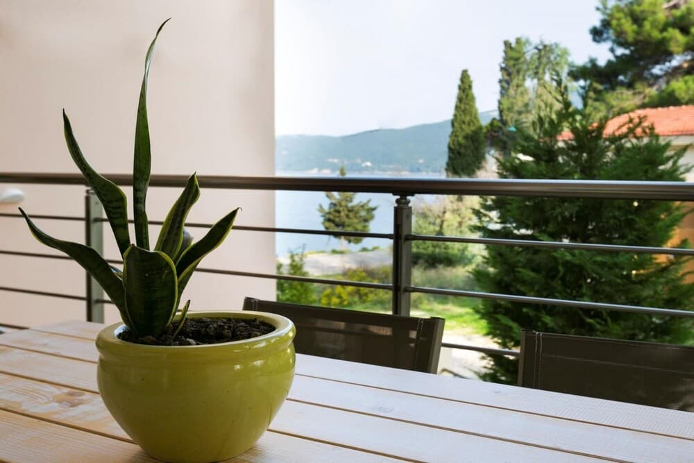 Eucalyptus Apartments Apartment Meli