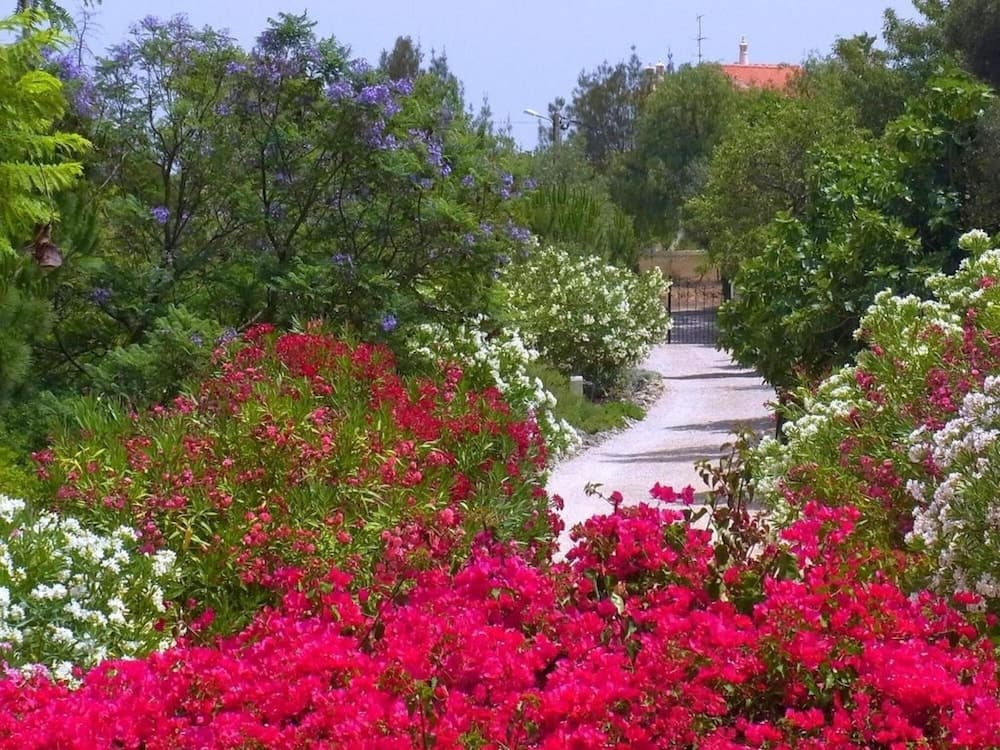 Villa Sequeira in Carvoeiro
