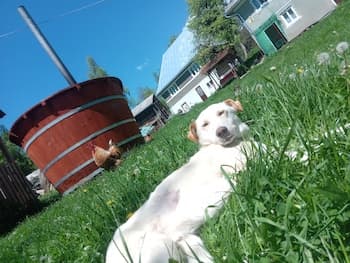 Idylic Family Sejour With Hottube in Green Land