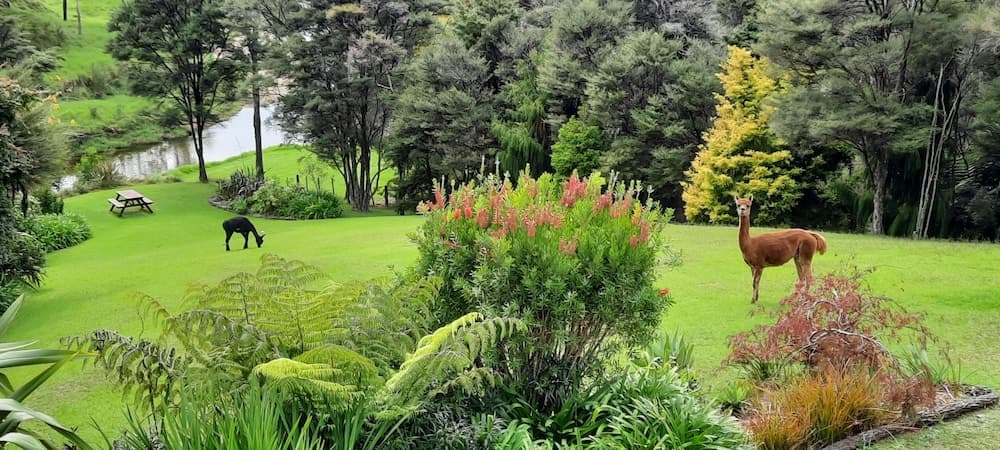 Riverside Homestead Waitangi