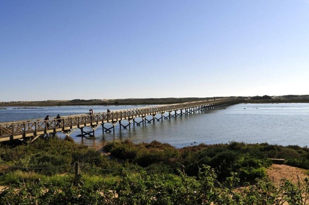 T House Sandra T007 Oceano