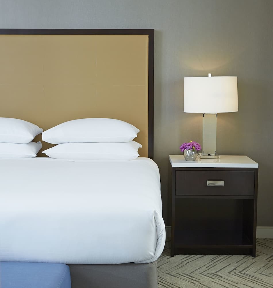 Hyatt Regency Atlanta Perimeter at Villa Christina