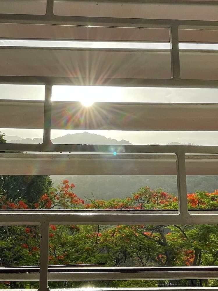 Neita's Nest - Jamaican Bed & Breakfast