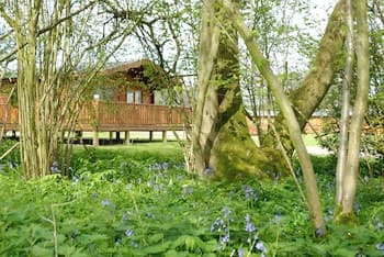 South Winchester Lodges