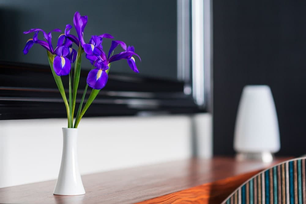 Radisson Blu Hotel, Chelyabinsk