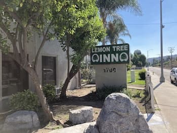 Lemon Tree Inn