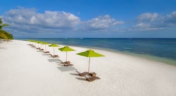 South Palms Resort Panglao