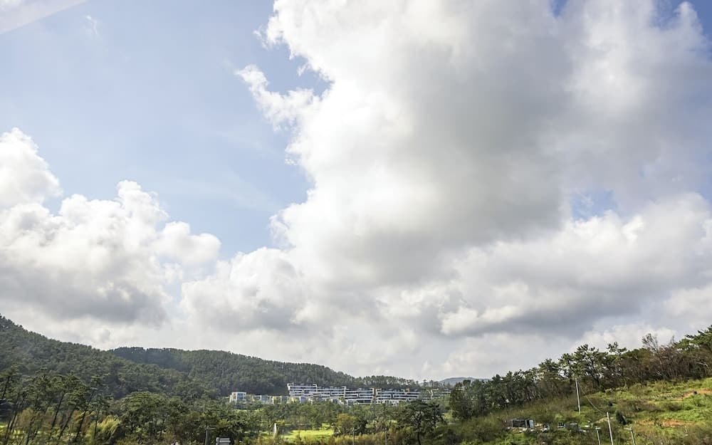 Busan No 25 Yeonhwari Branch