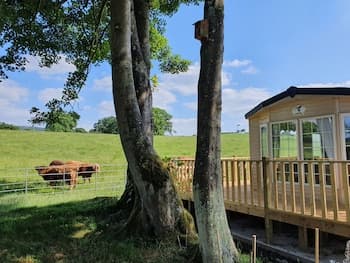 Gaerhyfryd Static Caravan
