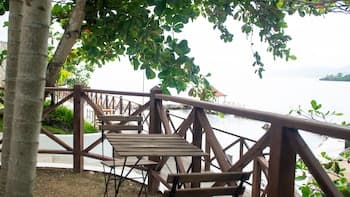 Vital Frequency Retreat