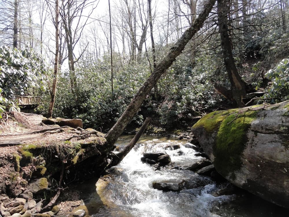 VCI - 4 Seasons at Beech Studio