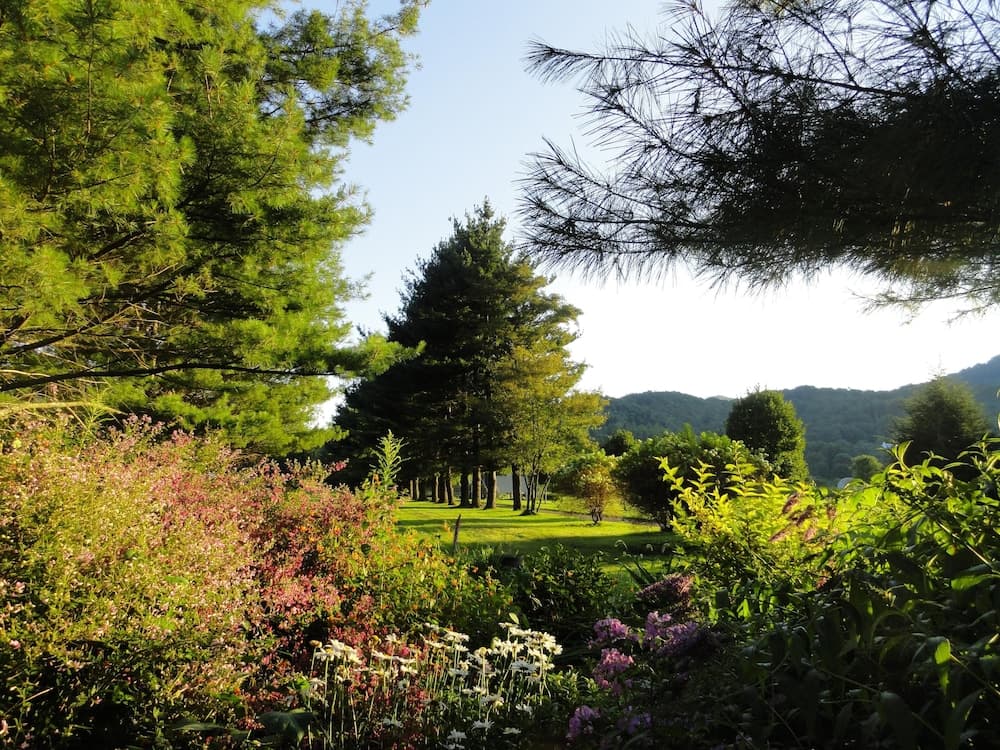 VCI - 4 Seasons at Beech Studio