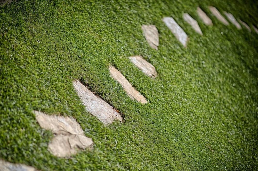 Valletta Olivo in Panzano