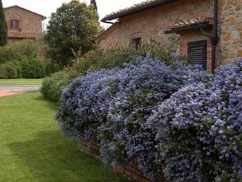 Country House in Chianti With Pool ID 31