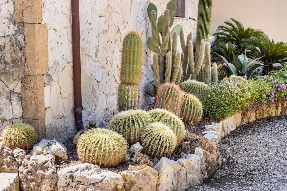 Luxury Garden in Gallina