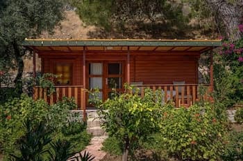 Felicity Hotel & Bungalows