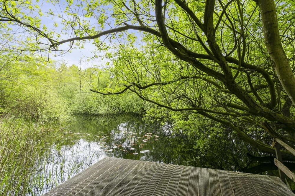 Idyllic House With 360 View of Nature