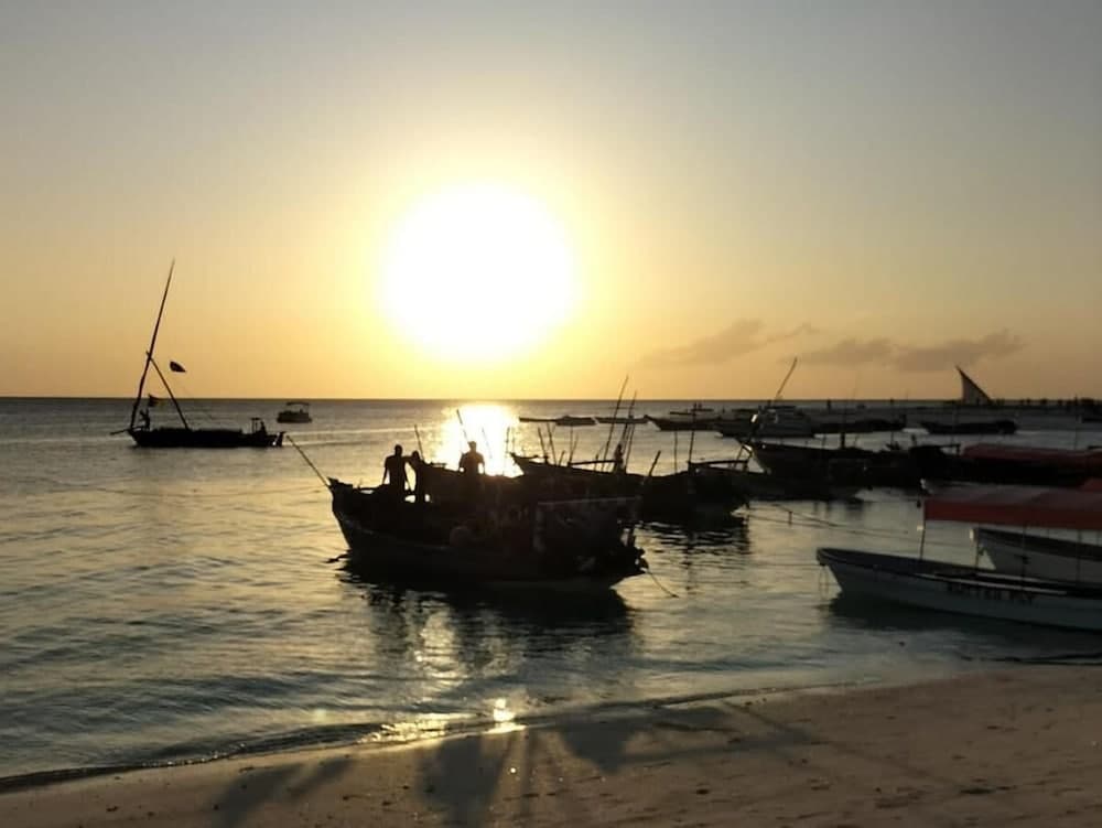 Kendwa Rasta Style Bun