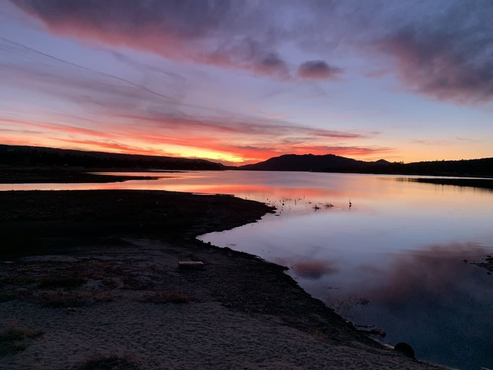 04 - Kodiak Bear 1 Bedroom Home by Redawning