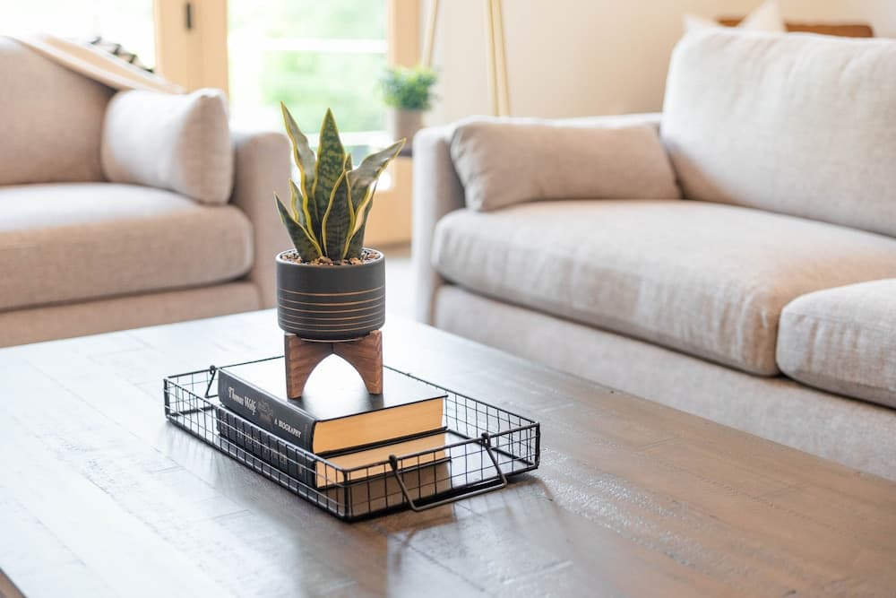 Cardinal at Main and Pine