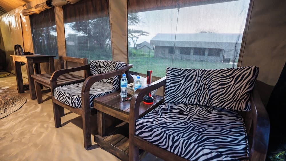 Africa Safari South Serengeti