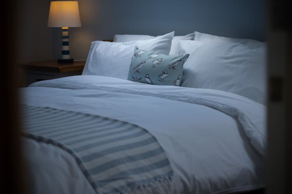 The Nest - 1 Bedroom Apartment - Tenby