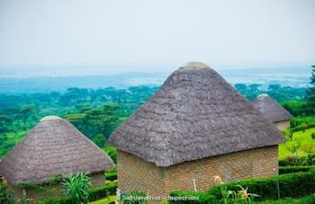 Albertine Valley Lodge