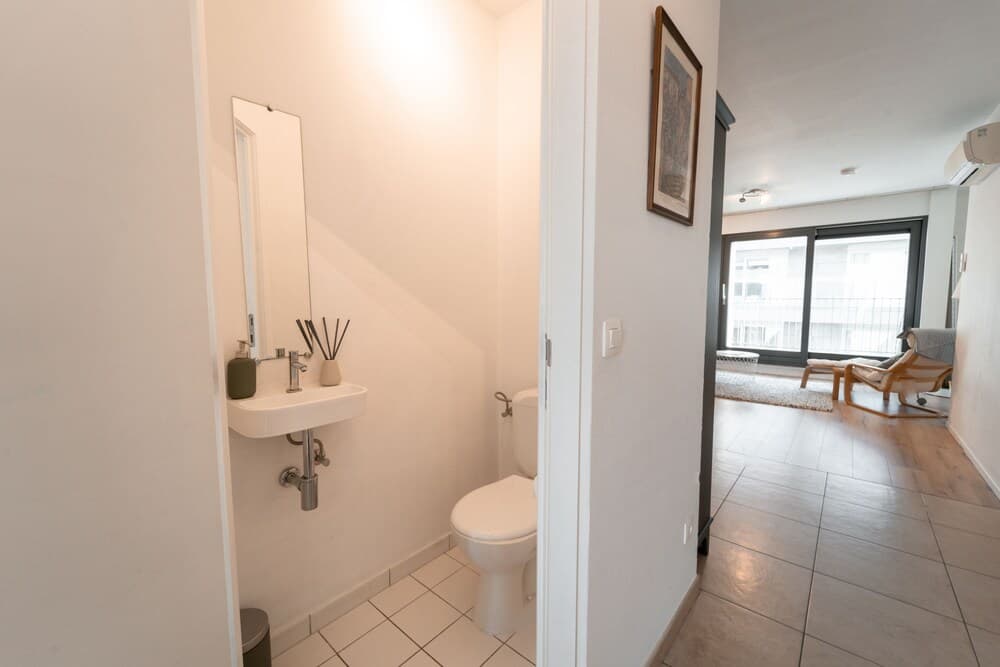 Brussels Pelican Charming