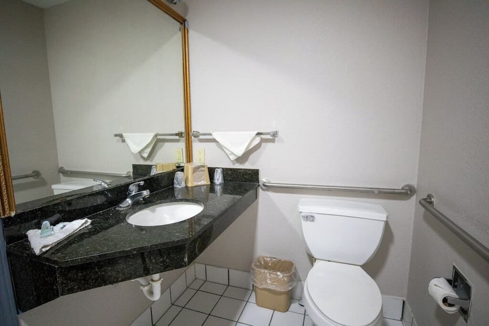 Deluxe Inn & Suites Morgan City