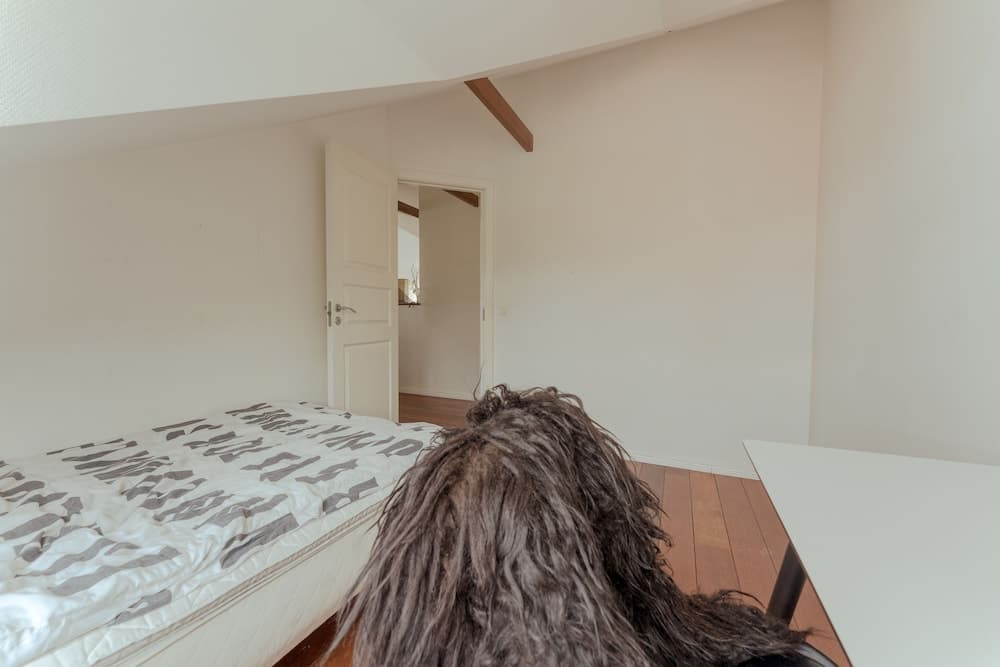 Penthouse - 4BR - Downtown - Harbour