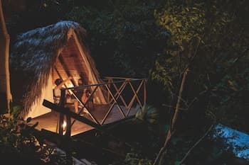 Tigrillo Rio Claroby LosColoresEcoparque