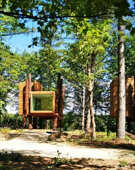 Treeloft Adventure in Nature for 4 People 7