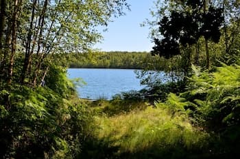 Treeloft Adventure in Nature for 4 People 17