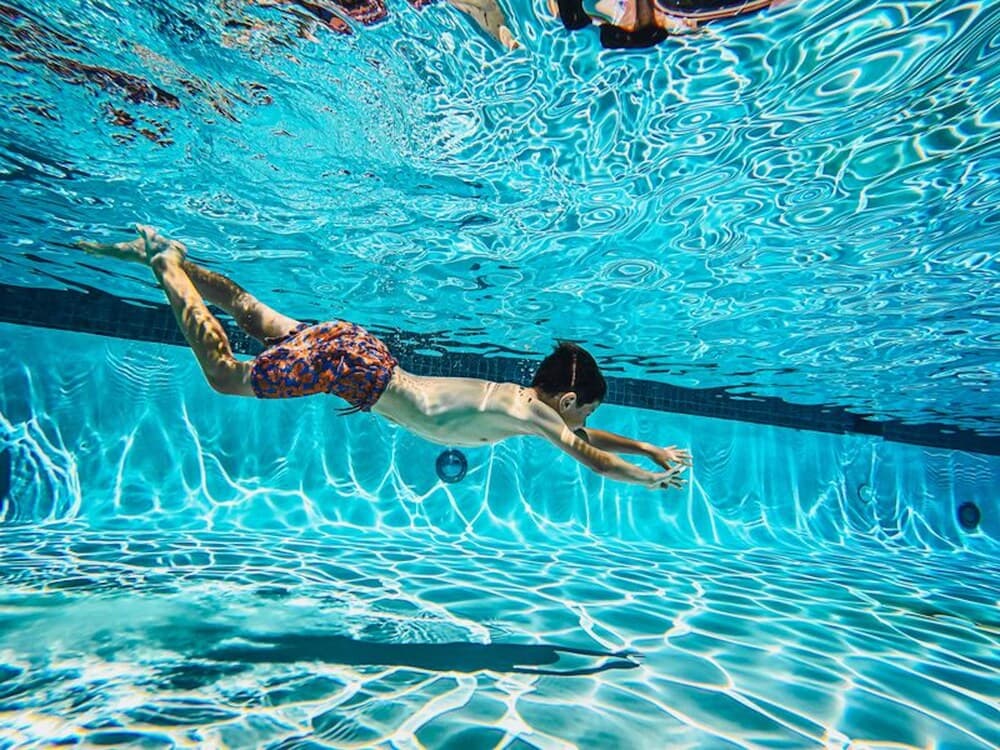 Adventure in Nature Tree Loft for 4 People 2