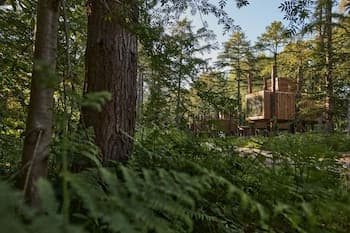 Treeloft Adventure in Nature for 4 People 13