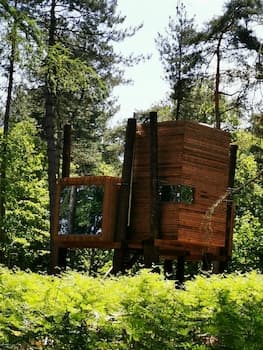 Luxury Tree Loft Tree Cabin for 4 People 4