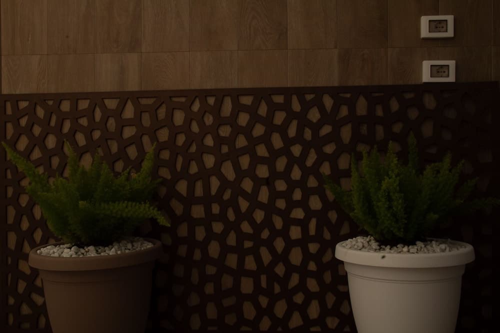 Luxory Double Room With Balcony