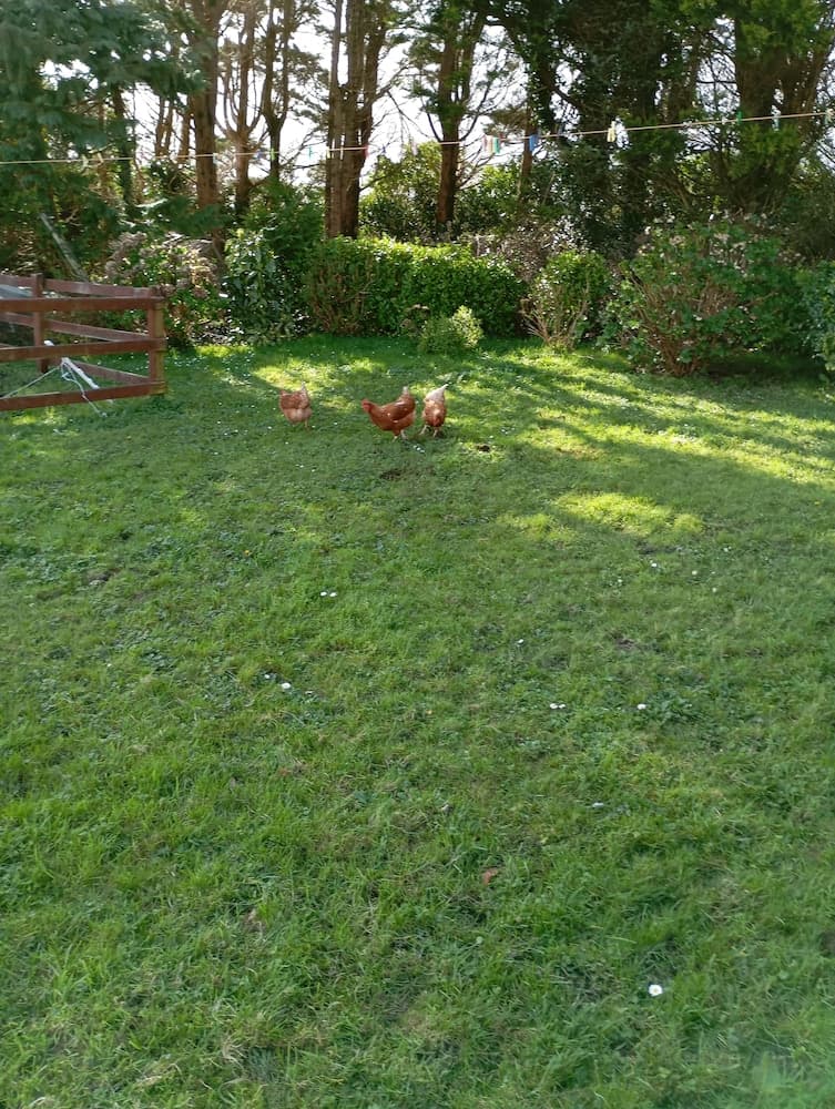 Room in Apartment - 1 Bedroom In A Homely Home With A Lovely Farm