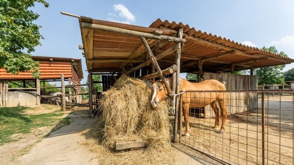 Agriturismo La Buona Terra Bio