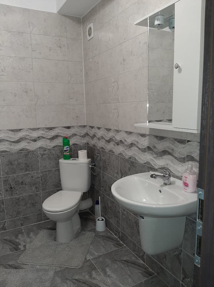 Inviting 1-bed House in Roșu