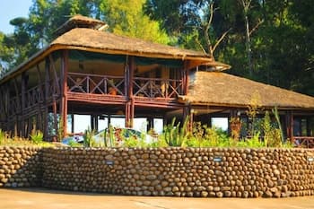 Da Vinci Gorilla Lodge