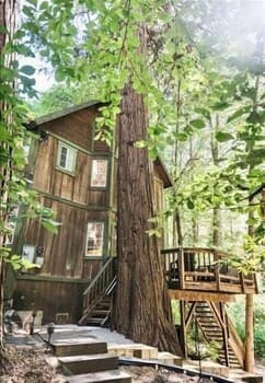 Charming Woodsy Hideaway 3 Bedroom Home by Redawning