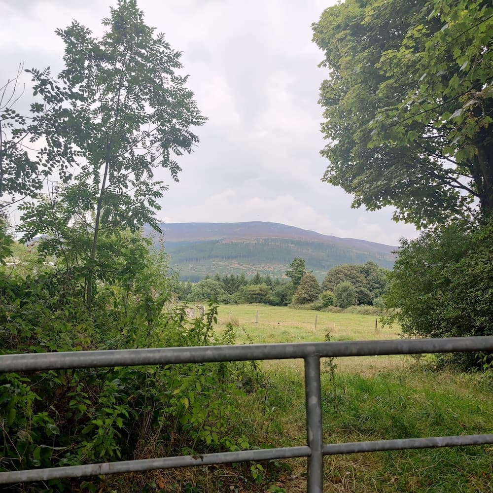 Lovely 4-bed Apartment in Mullaghbawn Newry