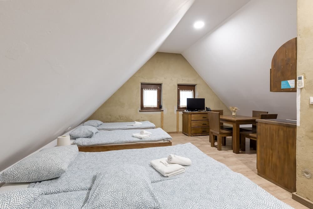 Pannonian Studio Mansarde For 3