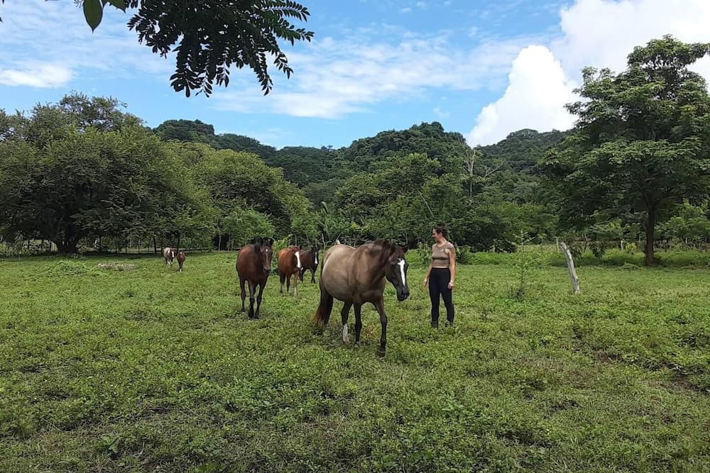 Surrounded By Trees In Front Of The Sea