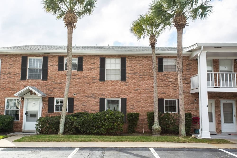 The Octopus Sanctuary